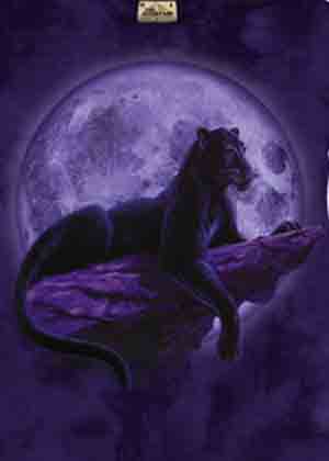 (image for) Panther in Moonlite Shirt