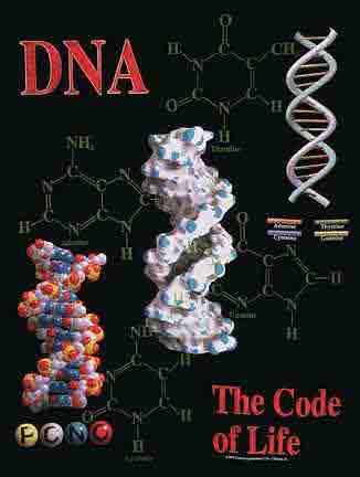 (image for) DNA- The Code of Life Shirt
