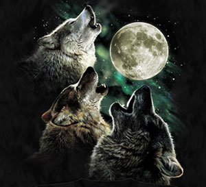 (image for) Three Wolf Moon Shirt