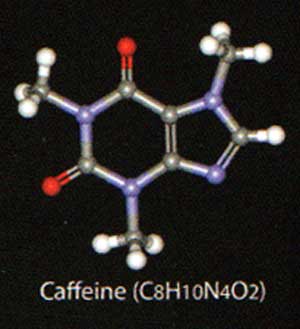 (image for) Caffeine Molecule Shirt - Click Image to Close