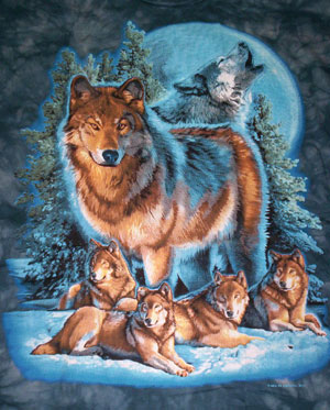 (image for) Wolves Family