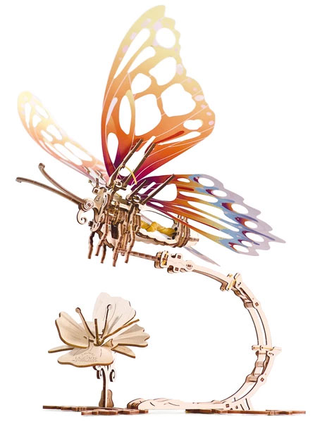 (image for) Butterfly Model
