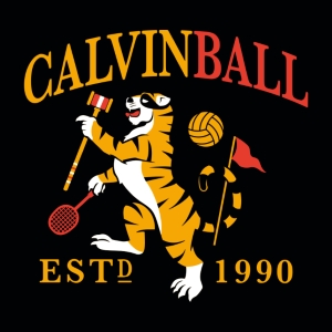 (image for) Calvinball T-Shirt