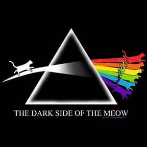 (image for) Dark Side of the Meow T-Shirt - Click Image to Close