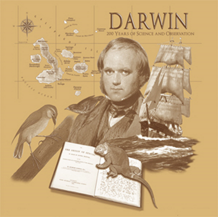 (image for) Darwin T-Shirt