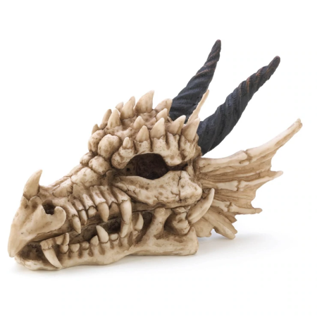 (image for) Dragon Skull Treasure Box