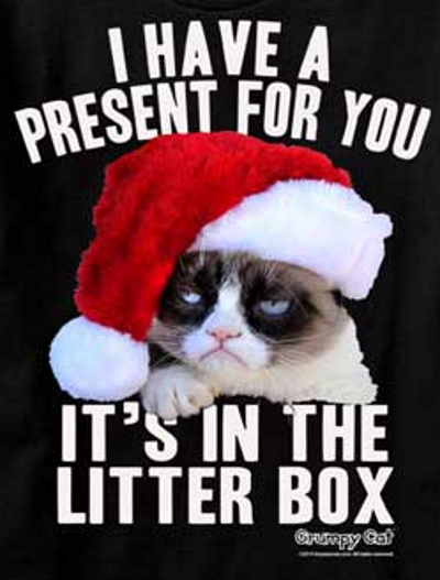 (image for) Grumpy Cat Present in the Litter Box T-Shirt