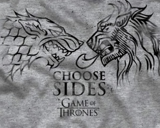 (image for) Choose Sides Lannister/Stark T-Shirt - Click Image to Close