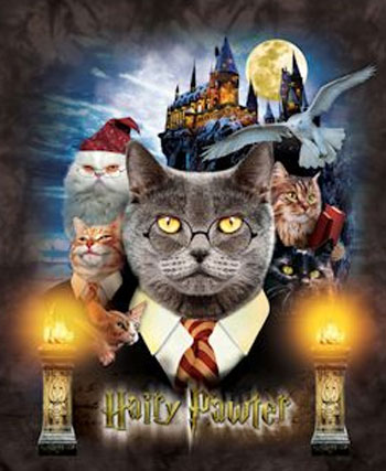 (image for) Harry Pawter T-Shirt - Click Image to Close