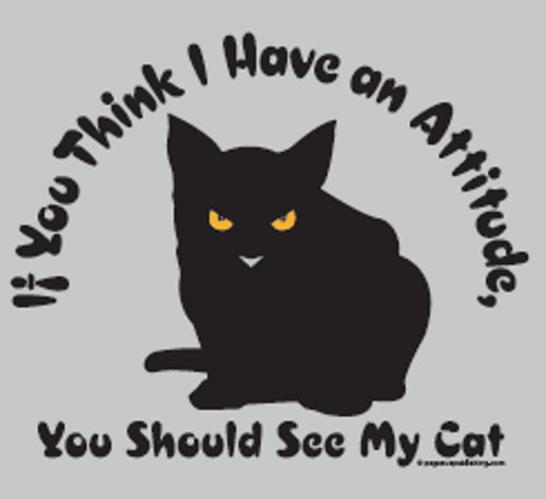 (image for) If You Think I Have an Attitude You Should See My Cat T-Shirt