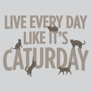 (image for) Live Every Day as if It's Caturday T-Shirt