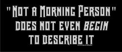(image for) Not a Morning Person Shirt