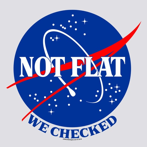 (image for) Not Flat T-Shirt