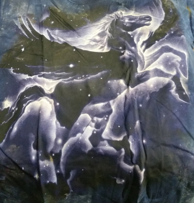 (image for) Pegasus in Night Sky T-Shirt