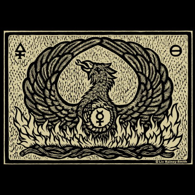 (image for) Phoenix on Black Shirt