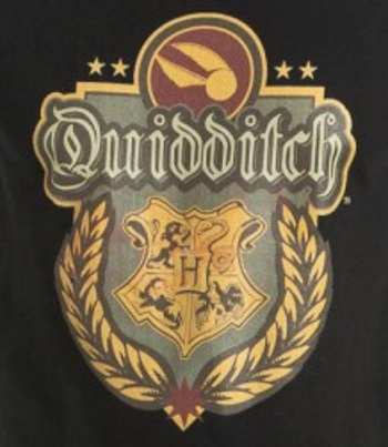(image for) Quidditch T-Shirt