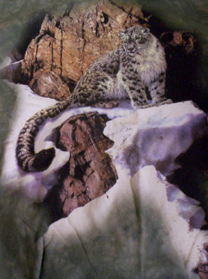 (image for) Snow Leopard Shirt