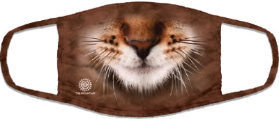 (image for) Striped Cat Face FaceMask