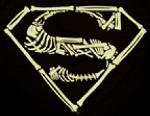 (image for) Superman Bones Shirt