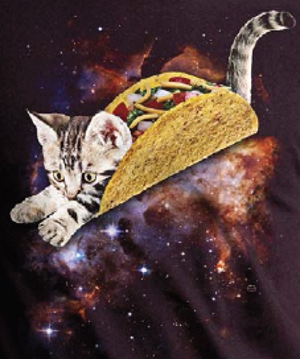 (image for) Taco Cat T-Shirt