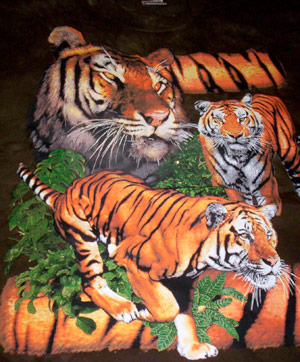 (image for) Bengal Tigers Shirt - Click Image to Close