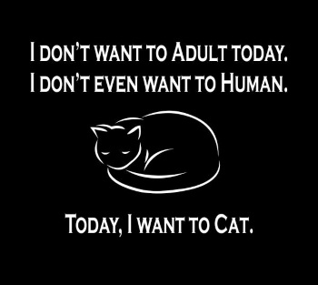 (image for) Today I Want to Cat T-Shirt