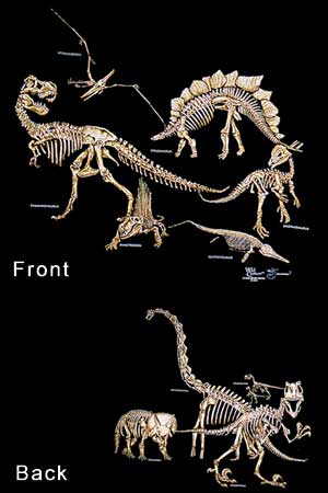 (image for) Dinosaur Bones Shirt