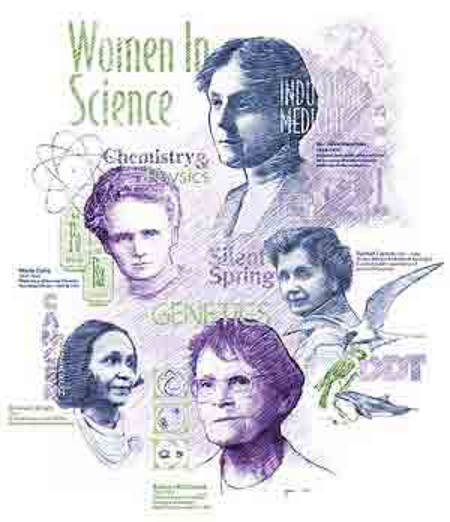 (image for) Women in Science T-Shirt