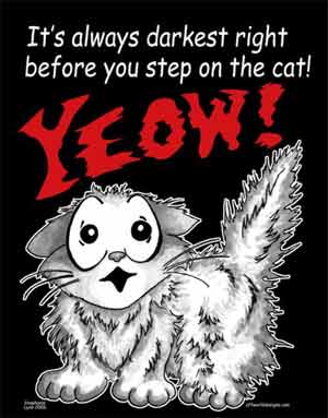(image for) It's always Darkest Before You Step on the CAT! T-Shirt - Click Image to Close