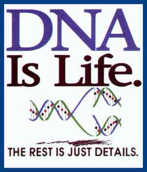 (image for) DNA is Life Shirt