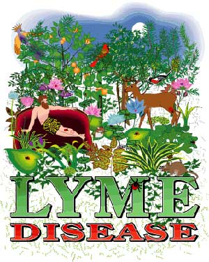 (image for) Lyme Disease T- Shirt 100% Cotton - Click Image to Close