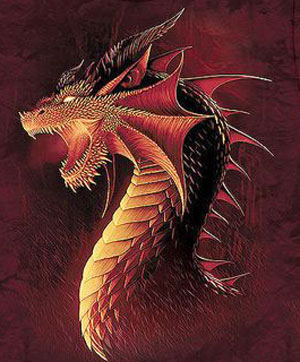 (image for) Red Dragon Shirt