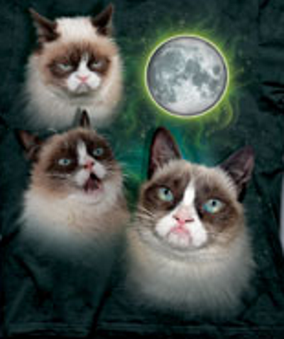 (image for) 3 Grumpy Cat Moon T-Shirt - Click Image to Close