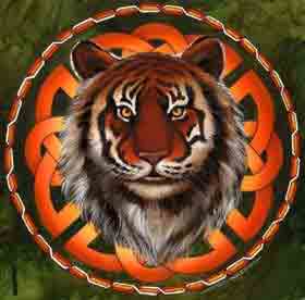 (image for) Tiger's Eye T-Shirt - Click Image to Close