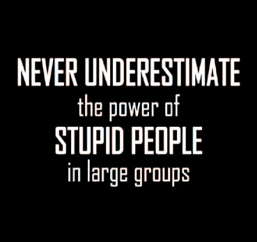 (image for) Never Underestimate the power of Stupid People in Large Groups T