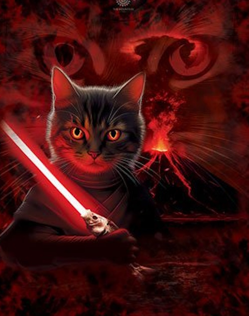 (image for) Anakin Catwalker T-Shirt