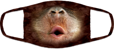 (image for) Baby Orangutang FaceMask