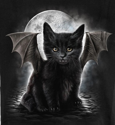 (image for) Vampire Cat T-Shirt - Click Image to Close