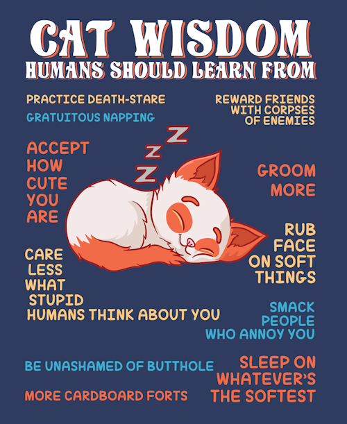 (image for) Cat Wisdom T-Shirt