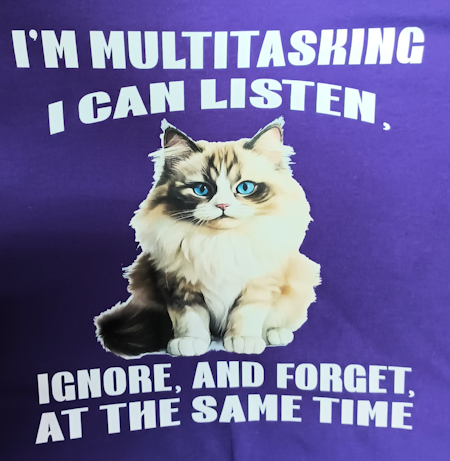 (image for) I'm Multitasking Cat T-Shirt