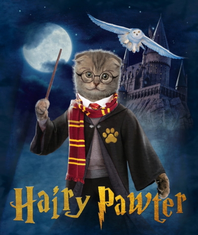 (image for) Mischief Managed Harry Pawter T-Shirt