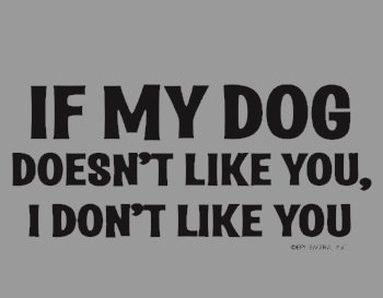 (image for) My Dog Likes You Shirt - Click Image to Close