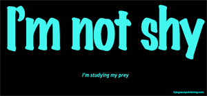 (image for) I'm Not Shy I'm Studying My Prey T-Shirt