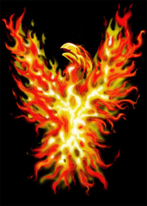 (image for) Phoenix on Black Shirt - Click Image to Close
