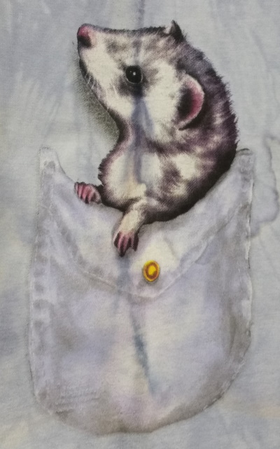 (image for) Pocket Ferret T-Shirt - Click Image to Close