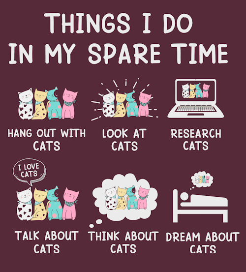 (image for) Things I Do In My Spare Time Cat T-Shirt