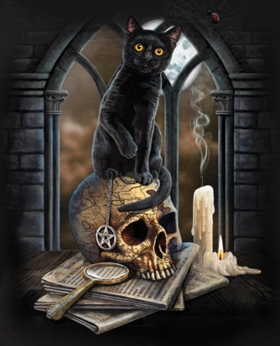 (image for) The Spirit of Salem Cat T-Shirt - Click Image to Close