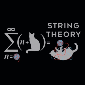 (image for) String Theory T-Shirt - Click Image to Close