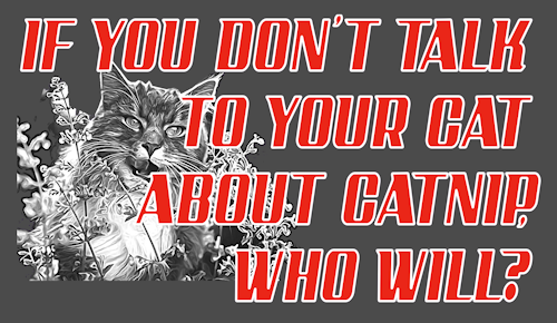 (image for) Talk About Catnip T-Shirt