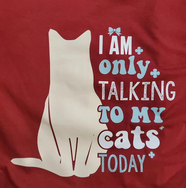 I'm Only Talking to My Cat Today T-Shirt (image for) I'm Only Talking to My Cat Today T-Shirt